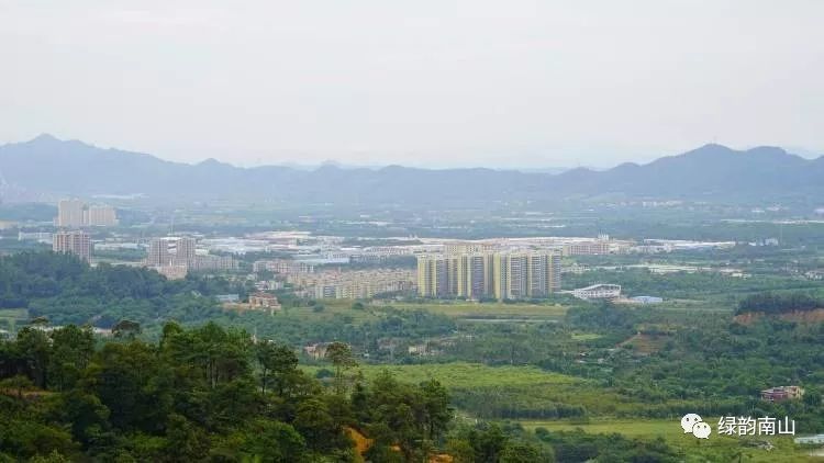 水果富硒含量标准是多少(含量水果标准富硒是什么)-硒宝网