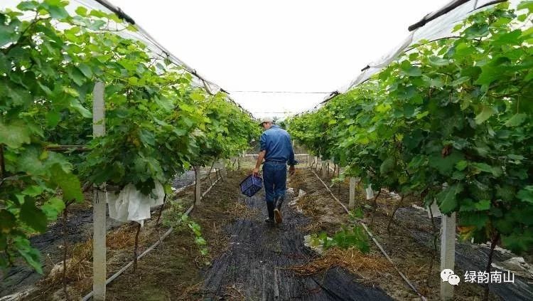 水果富硒含量标准是多少(含量水果标准富硒是什么)-硒宝网