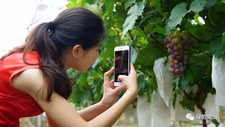 水果富硒含量标准是多少(含量水果标准富硒是什么)-硒宝网