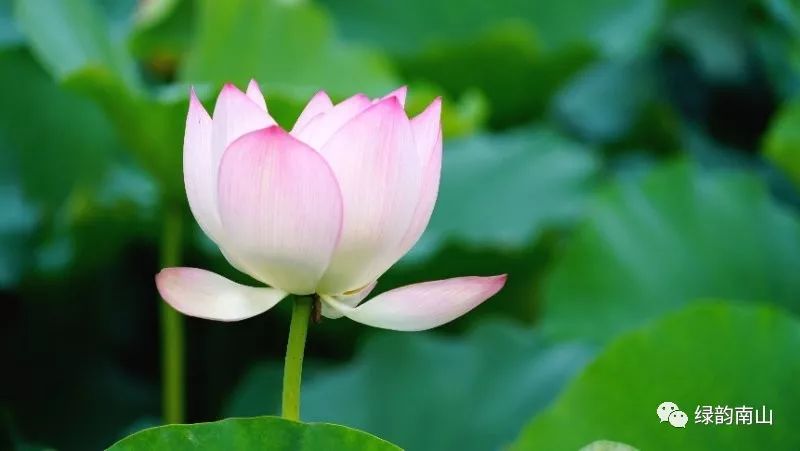 水果富硒含量标准是多少(含量水果标准富硒是什么)-硒宝网