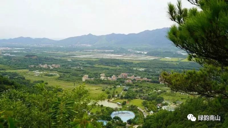 水果富硒含量标准是多少(含量水果标准富硒是什么)-硒宝网