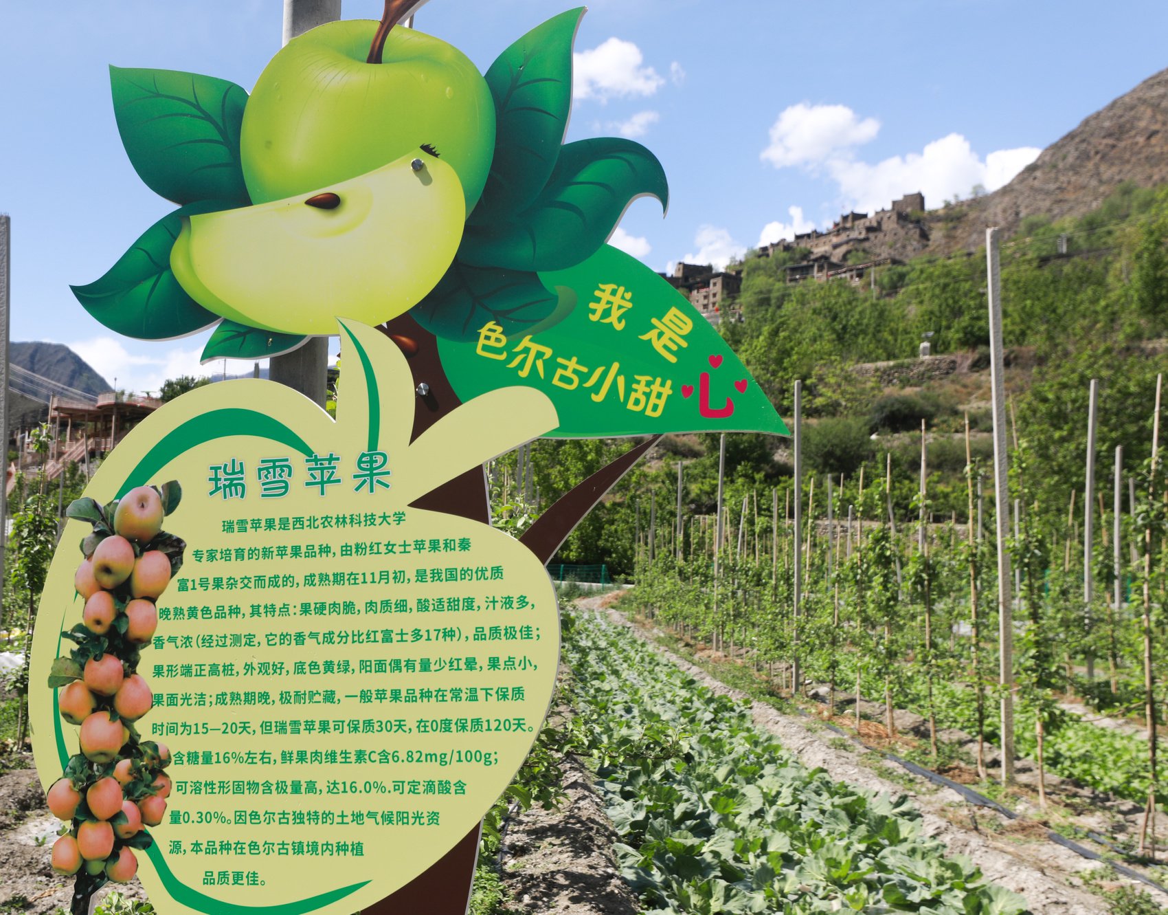 富硒特产水果店名字大全