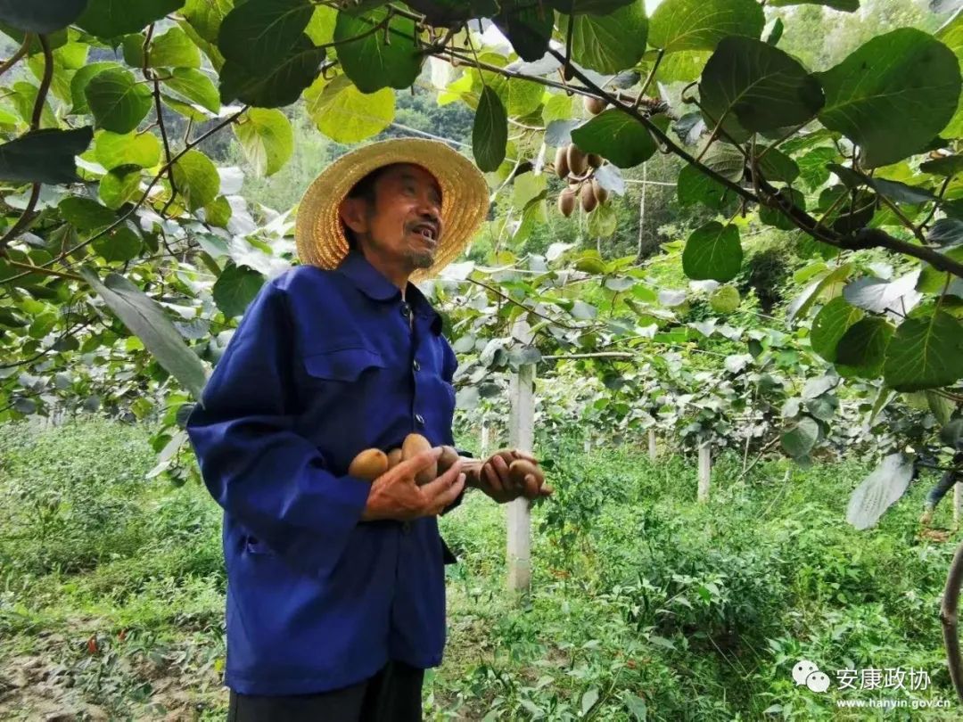 陕西安康富硒水果有哪些