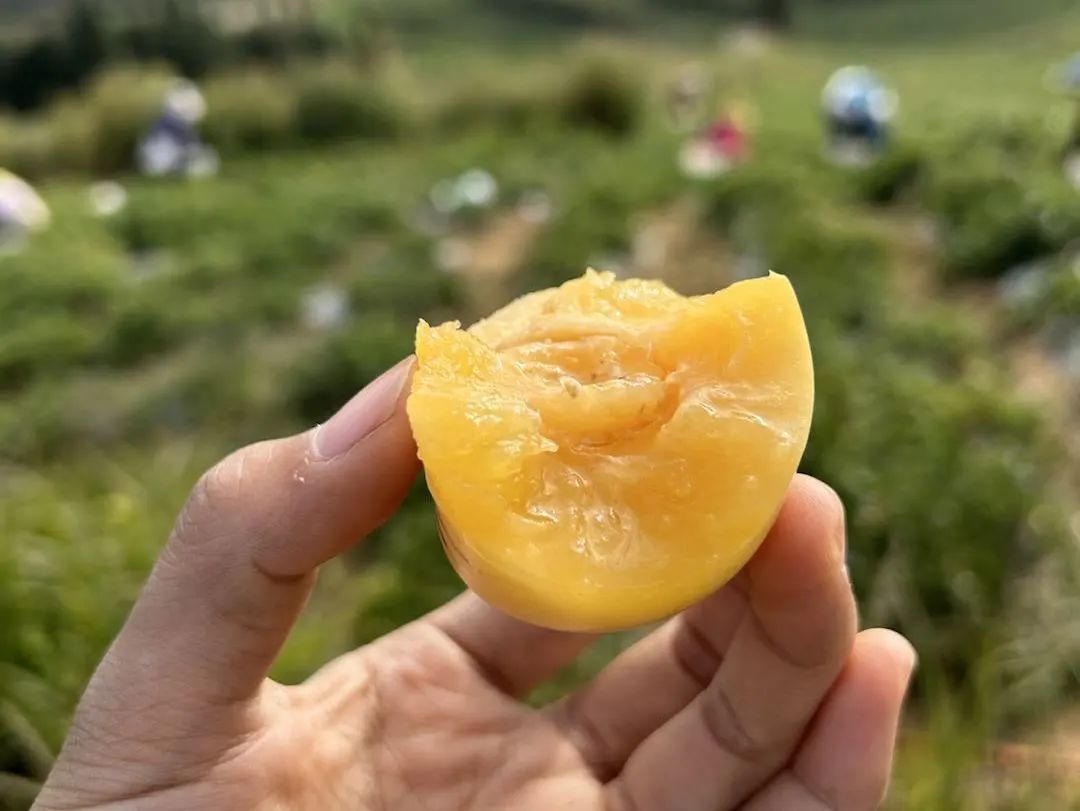 啥水果是富硒果子的味道(富硒对水果的作用如何)-硒宝网