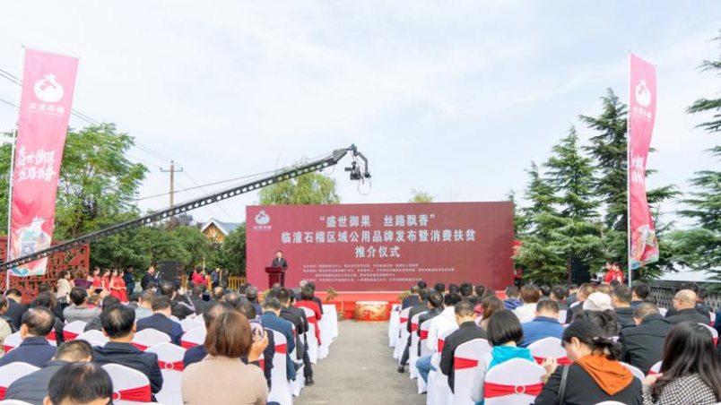 哪些水果是富硒果子类型