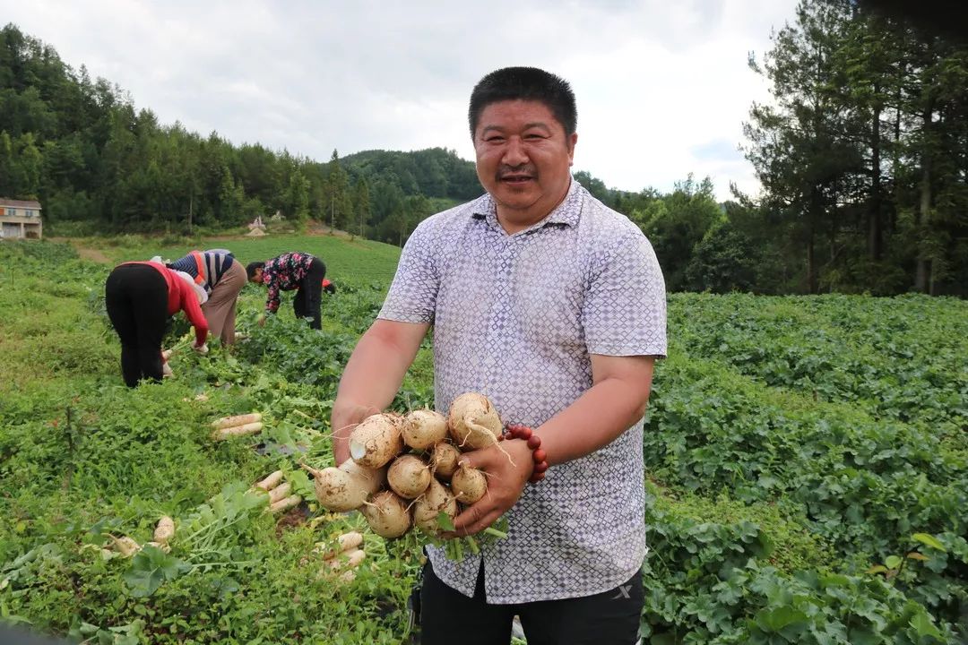 富硒水果作用功效与主治