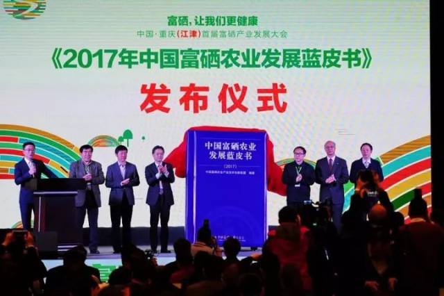 富硒第一水果品牌是什么