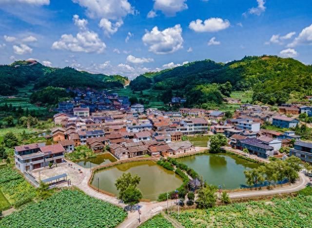 富硒水果市场前景如何样(富硒食品市?。?硒宝网