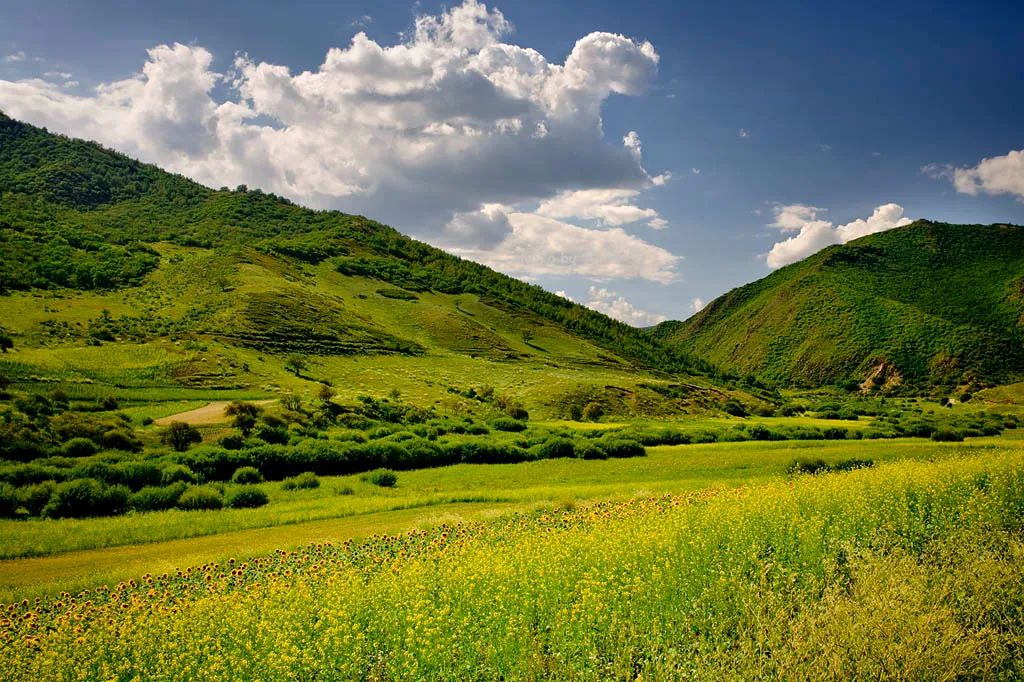 碱式硫酸硒是?；仿穑盍蚧铮?硒宝网