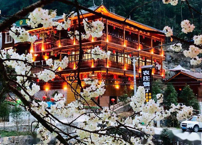 中国名优 特色 硒产品(硒产品排行)-硒宝网