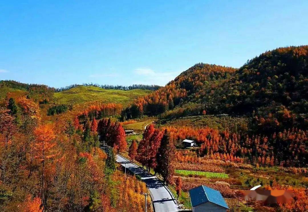 中国名优 特色 硒产品(硒产品排行)-硒宝网