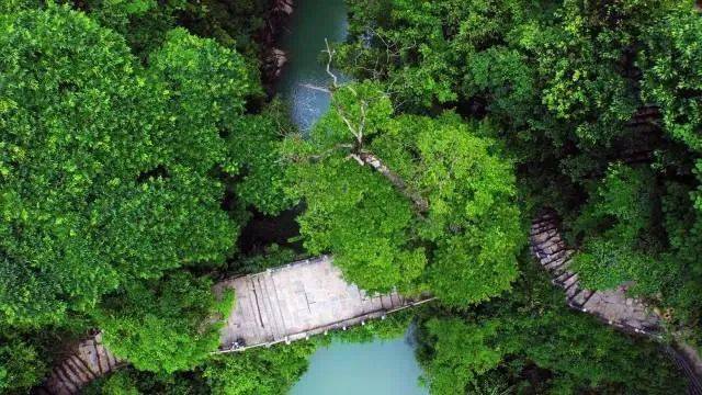 中国名优 特色 硒产品(硒产品排行)-硒宝网