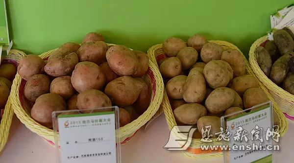 国家批准的硒产品有哪些