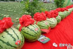 中国地理标志产品硒砂瓜