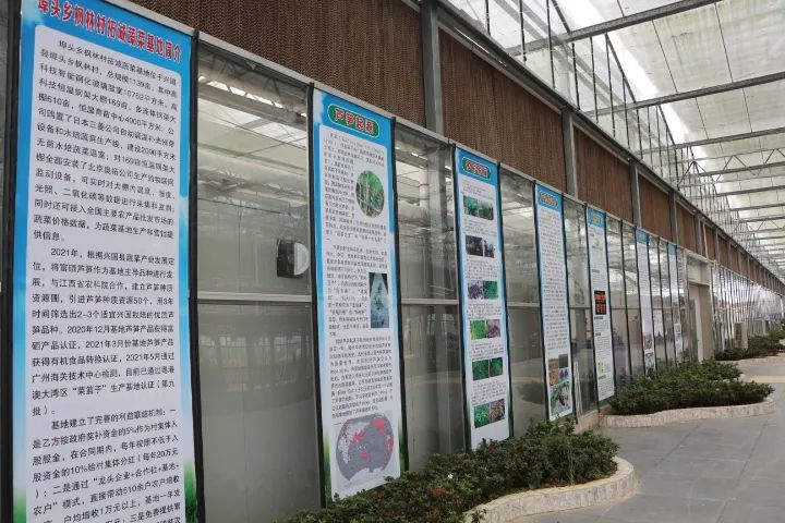 兴国富硒产品有哪些品牌