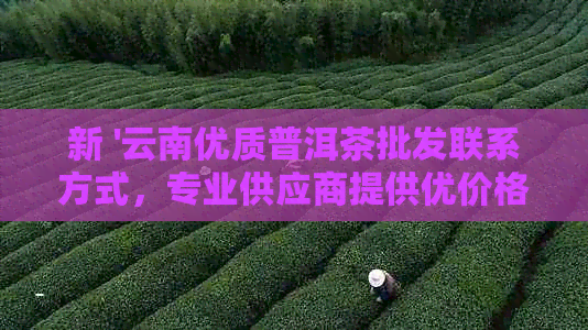 凤冈锌硒茶有什么产品好(凤冈锌硒茶有机茶价格)-硒宝网