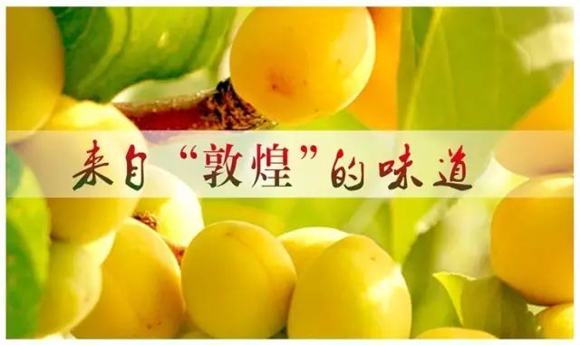 硒沙瓜是那里生产的产品