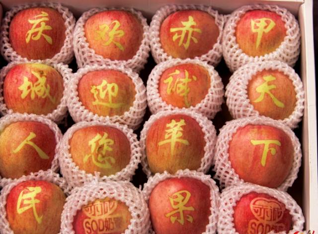 硒沙瓜是那里生产的产品