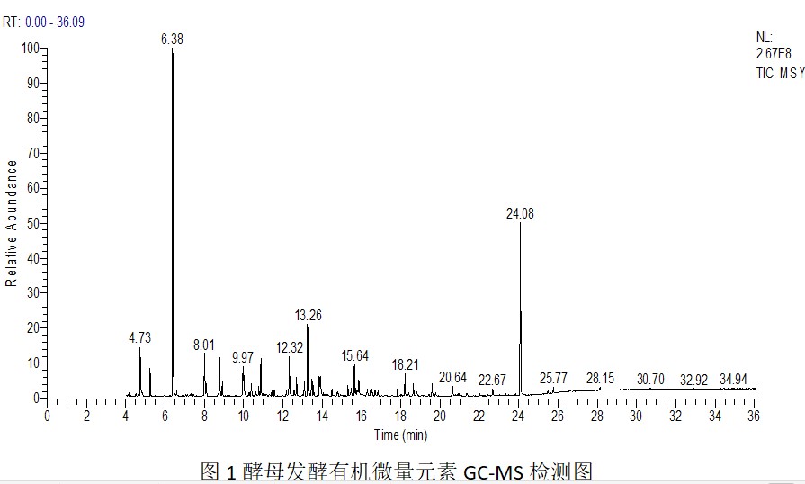 是谁发明了硒酵母菌产品