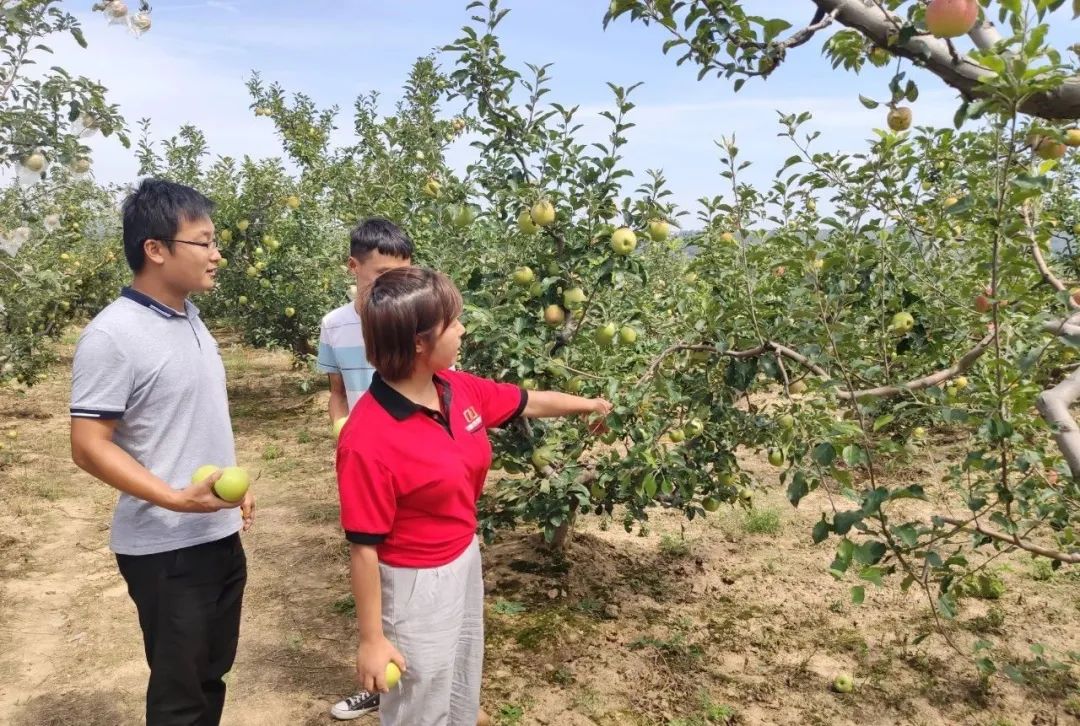 硒与农产品品质的关系是（农产品富硒标准）-硒宝网