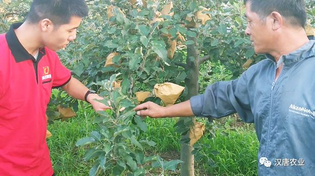 硒与农产品品质的关系是（农产品富硒标准）-硒宝网