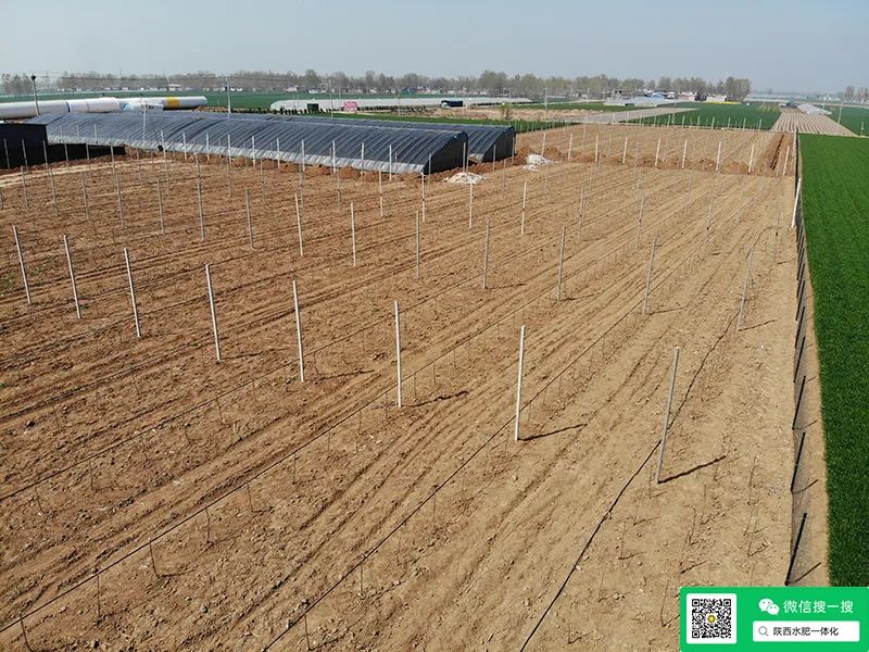 硒与农产品品质的关系是（农产品富硒标准）-硒宝网