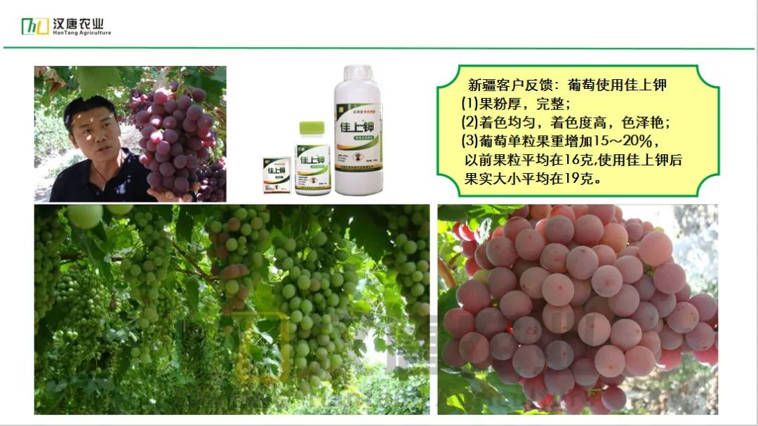 硒与农产品品质的关系是（农产品富硒标准）-硒宝网