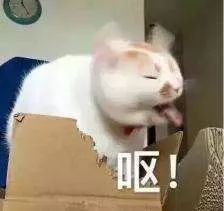 男性备孕为啥要吃锌硒宝