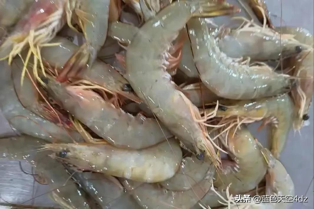 吃锌硒宝不会影响身高吧