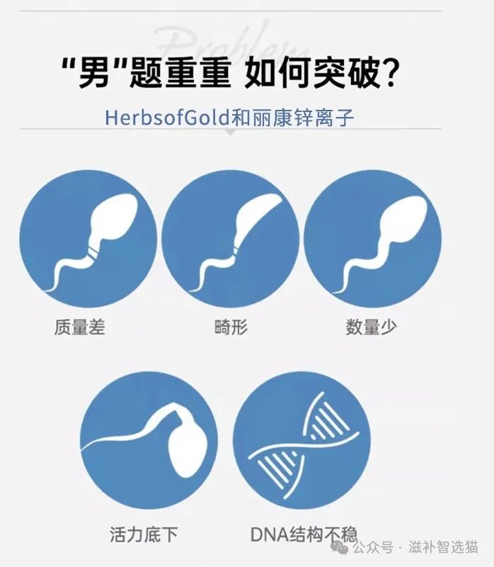 男性吃什么牌子的锌硒宝