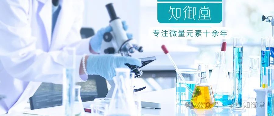锌硒宝片几个小时吃一次