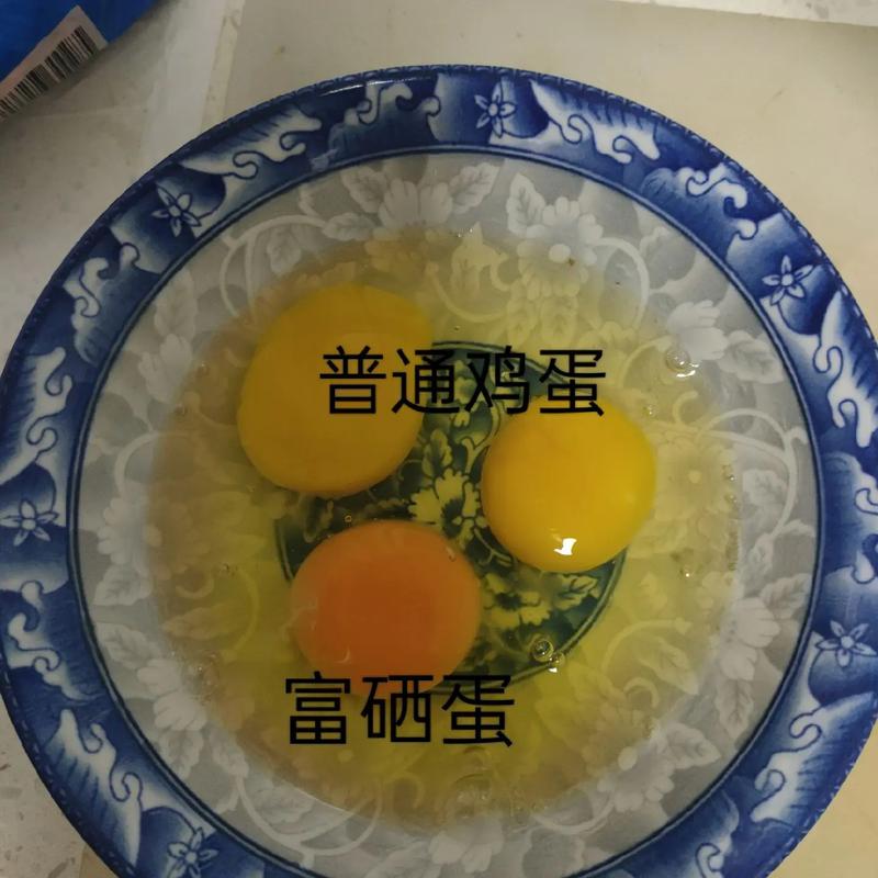 富硒鸡蛋多少钱一斤