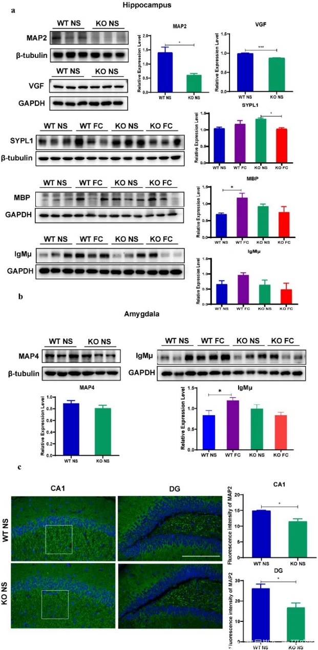 蛋白质硒(蛋白质硒元素)-硒宝网