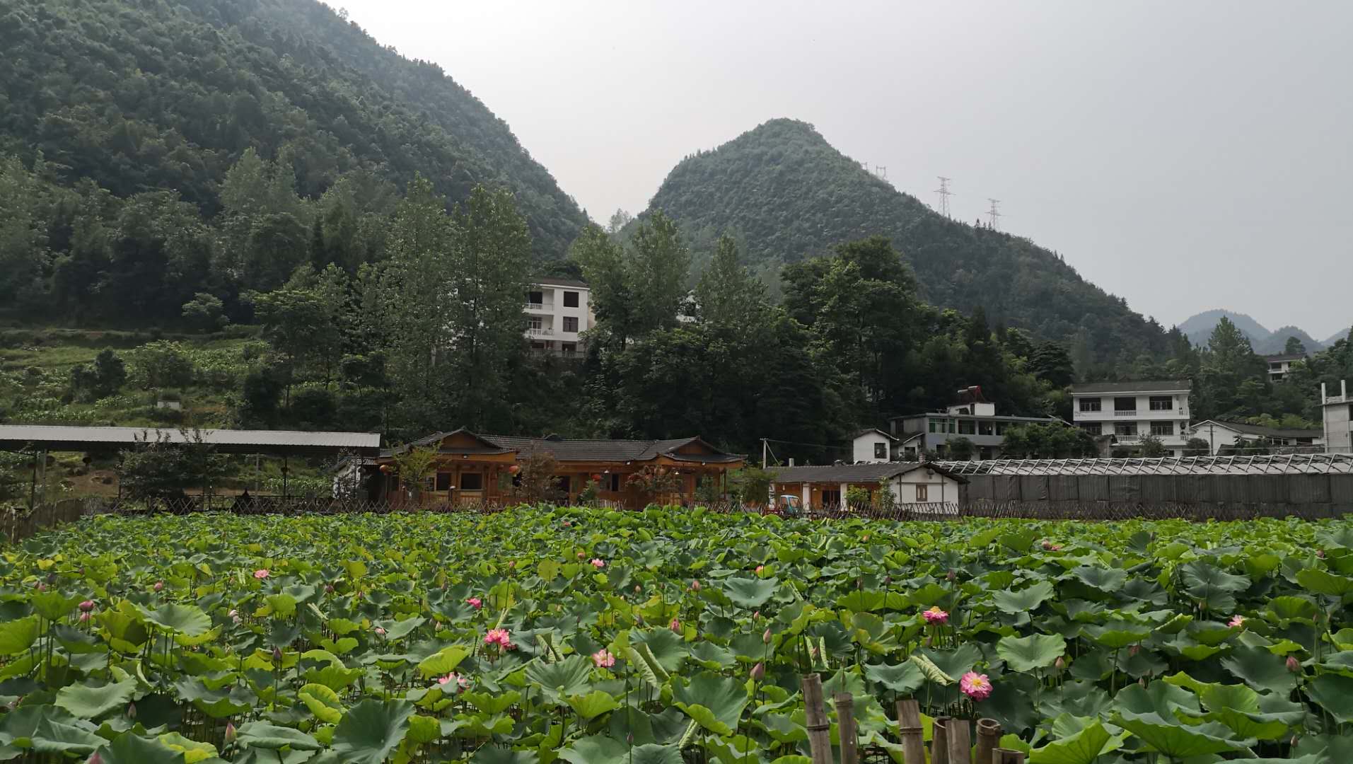 高硒地区