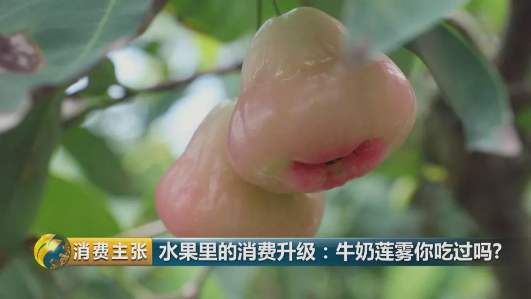 硒多少钱一盒