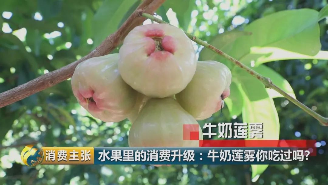 硒多少钱一盒
