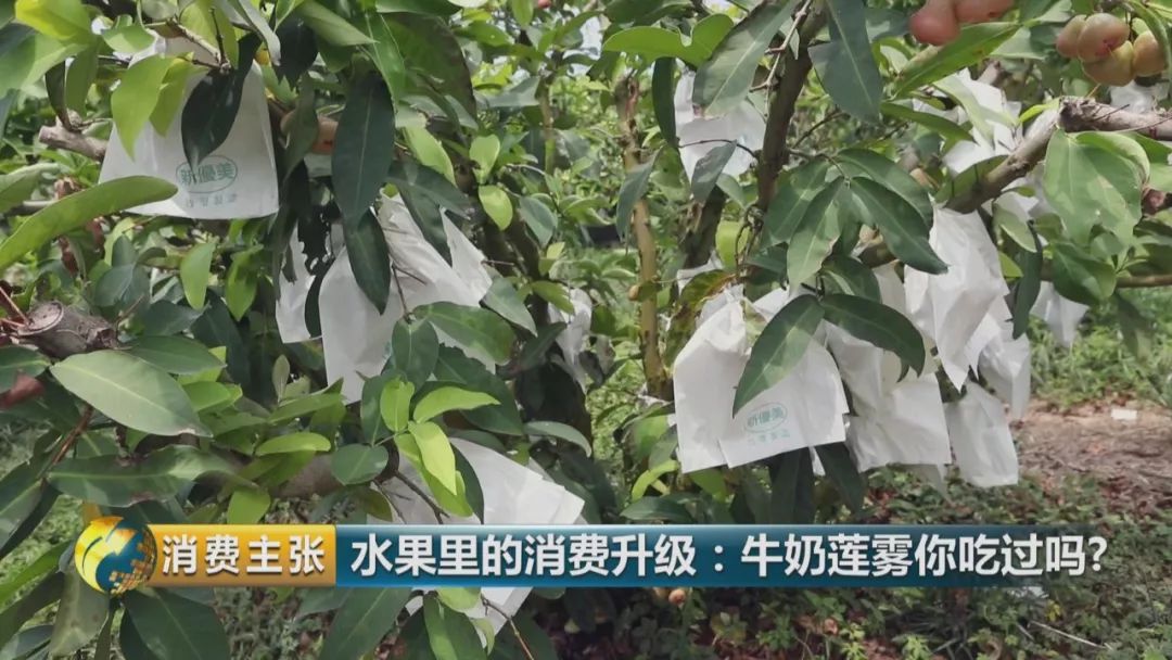 硒多少钱一盒