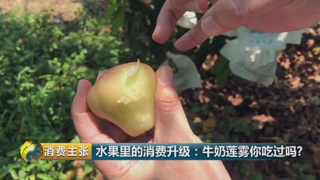 硒多少钱一盒