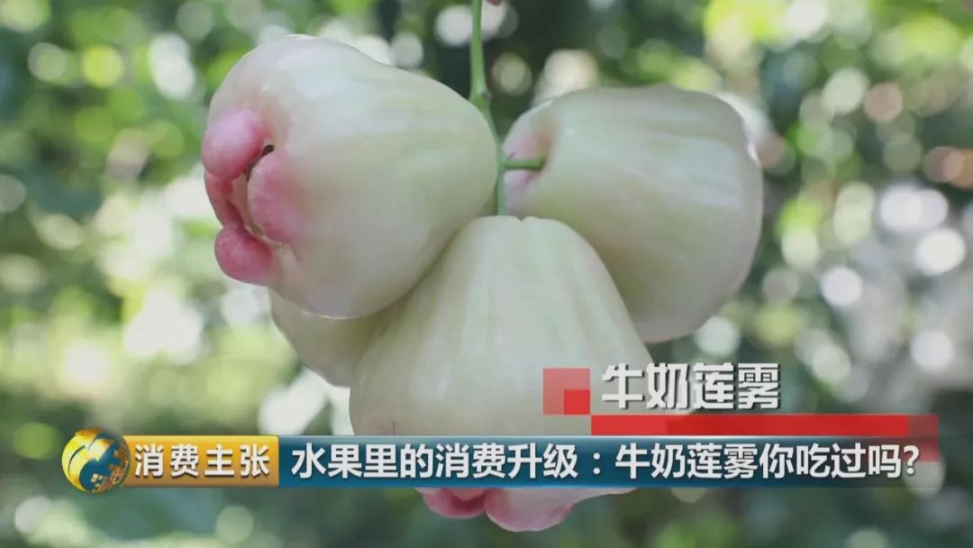 硒多少钱一盒