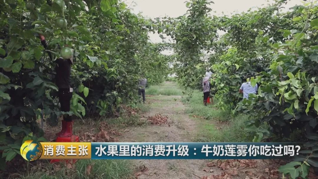 硒多少钱一盒