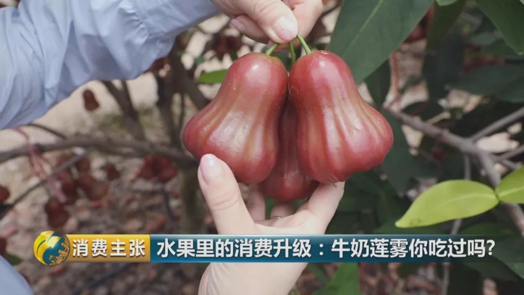 硒多少钱一盒