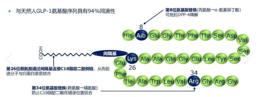 正常人打司美格鲁肽减肥治疗效果