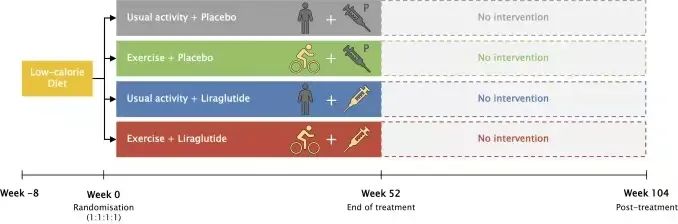 正常人打司美格鲁肽减肥治疗效果