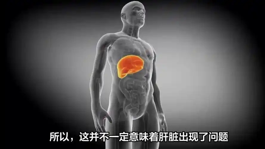 硒对肝脏的作用(肝脏硒)-硒宝网