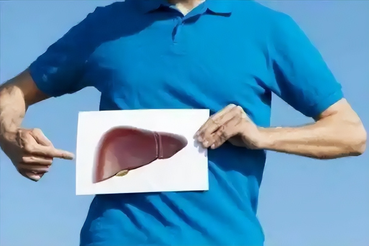 硒对肝脏的作用(肝脏硒)-硒宝网