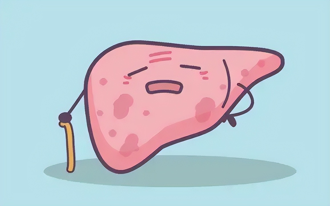 硒对肝脏的作用(肝脏硒)-硒宝网