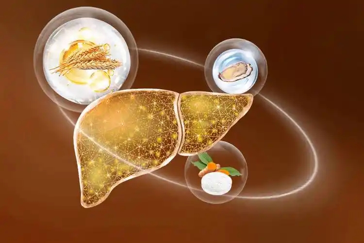 硒对肝脏的作用(肝脏硒)-硒宝网