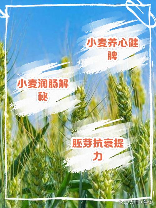 富硒小麦多少钱一斤