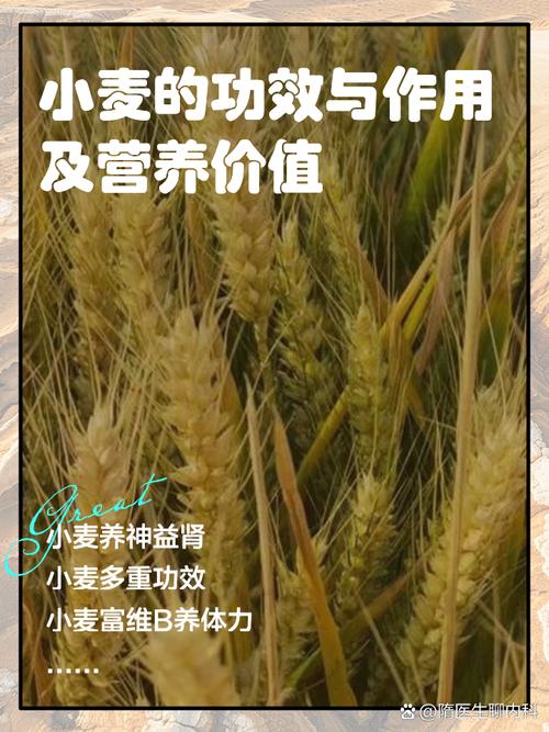 富硒小麦多少钱一斤