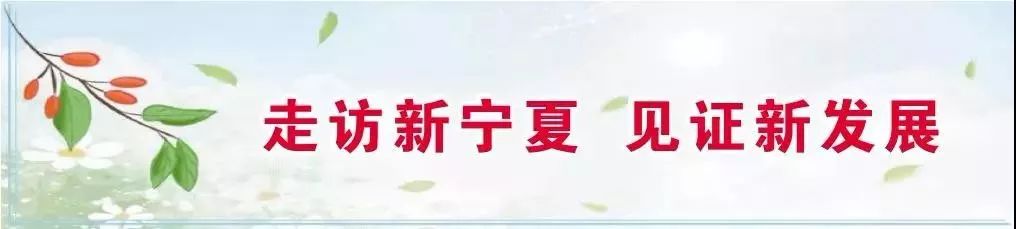 中卫富硒硒砂瓜